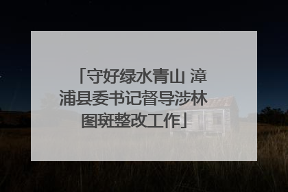 守好绿水青山 漳浦县委书记督导涉林图斑整改工作