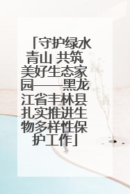 守护绿水青山 共筑美好生态家园——黑龙江省丰林县扎实推进生物多样性保护工作