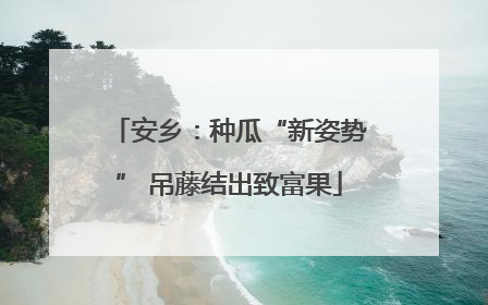 安乡：种瓜“新姿势” 吊藤结出致富果