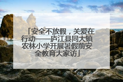 安全不放假，关爱在行动——庐江县同大镇农林小学开展暑假前安全教育大家访
