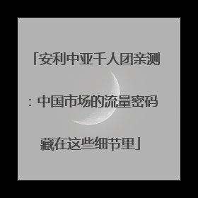 安利中亚千人团亲测：中国市场的流量密码 藏在这些细节里