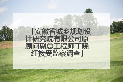 安徽省城乡规划设计研究院有限公司原顾问副总工程师丁晓红接受监察调查