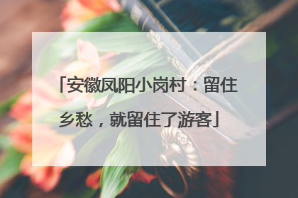 安徽凤阳小岗村：留住乡愁，就留住了游客