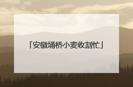安徽埇桥小麦收割忙