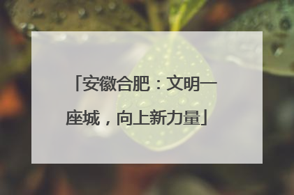 安徽合肥：文明一座城，向上新力量