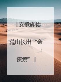安徽旌德 荒山长出“金疙瘩”