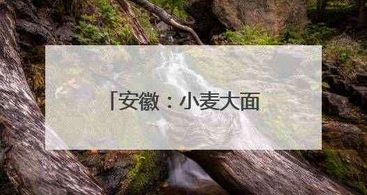 安徽：小麦大面积收获期在5月26日至6月上旬