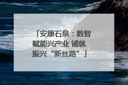 安康石泉：数智赋能兴产业 铺就振兴“新丝路”