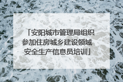 安阳城市管理局组织参加住房城乡建设领域安全生产信息员培训