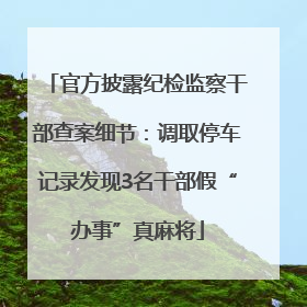 官方披露纪检监察干部查案细节：调取停车记录发现3名干部假“办事”真麻将