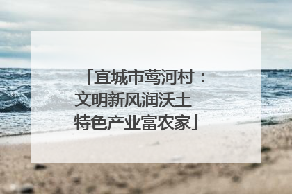 宜城市莺河村：文明新风润沃土 特色产业富农家