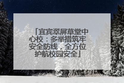 宜宾翠屏草堂中心校：多举措筑牢安全防线，全方位护航校园安全