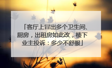 客厅上冒出多个卫生间、厨房，出租房如此改，楼下业主投诉：多少不舒服