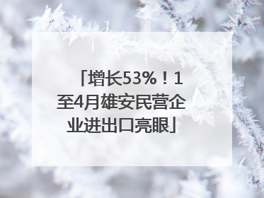 增长53%！1至4月雄安民营企业进出口亮眼