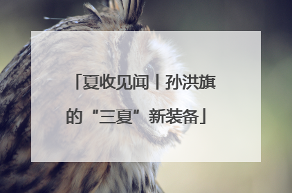 夏收见闻丨孙洪旗的“三夏”新装备