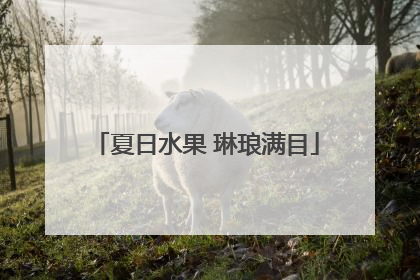 夏日水果 琳琅满目