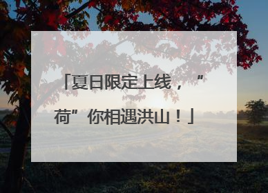 夏日限定上线，“荷”你相遇洪山！