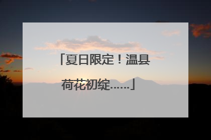 夏日限定！温县荷花初绽……