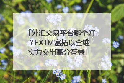 外汇交易平台哪个好？FXTM富拓以全维实力交出高分答卷
