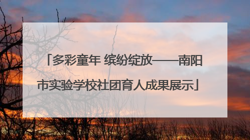 多彩童年 缤纷绽放——南阳市实验学校社团育人成果展示