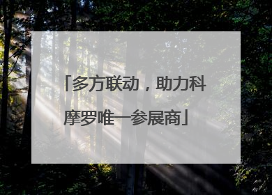 多方联动，助力科摩罗唯一参展商
