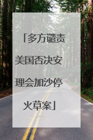 多方谴责美国否决安理会加沙停火草案