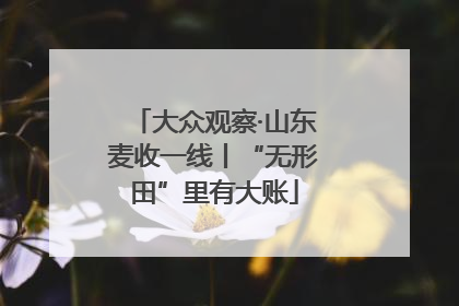 大众观察·山东麦收一线丨“无形田”里有大账