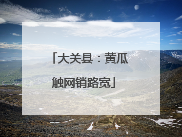 大关县：黄瓜触网销路宽