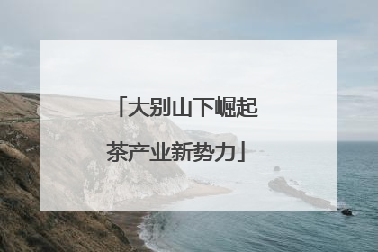大别山下崛起茶产业新势力