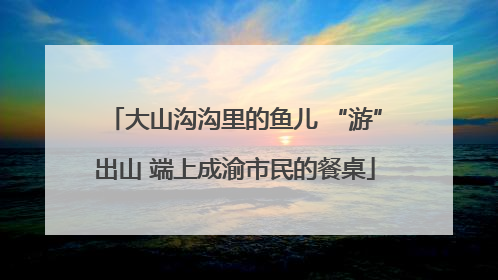 大山沟沟里的鱼儿 “游”出山 端上成渝市民的餐桌