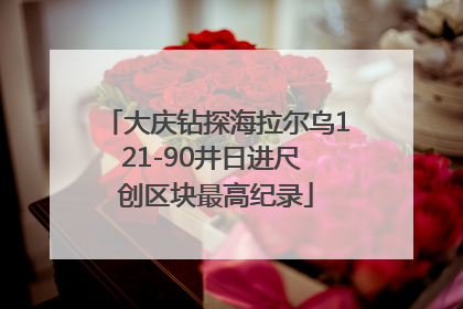 大庆钻探海拉尔乌121-90井日进尺 创区块最高纪录