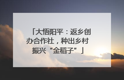 大悟阳平：返乡创办合作社，种出乡村振兴“金稻子”