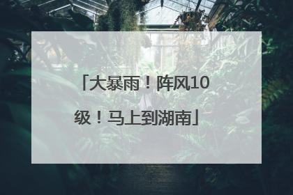 大暴雨！阵风10级！马上到湖南