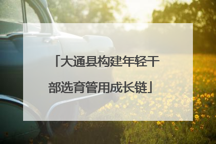 大通县构建年轻干部选育管用成长链