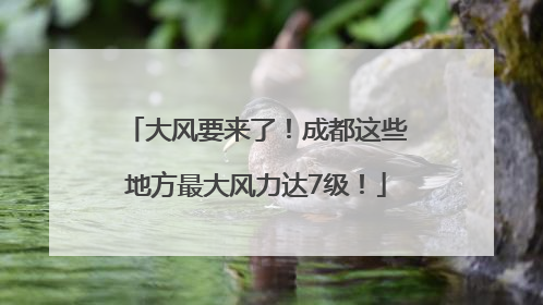 大风要来了！成都这些地方最大风力达7级！