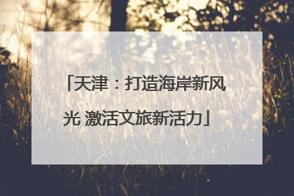 天津：打造海岸新风光 激活文旅新活力