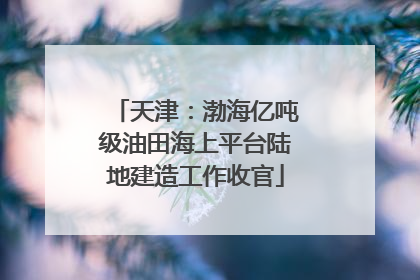 天津：渤海亿吨级油田海上平台陆地建造工作收官