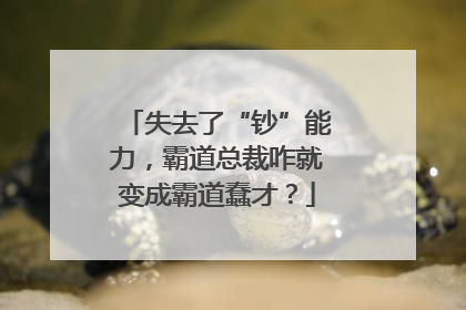 失去了“钞”能力，霸道总裁咋就变成霸道蠢才？