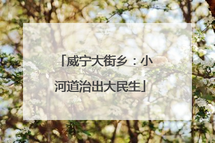 威宁大街乡：小河道治出大民生