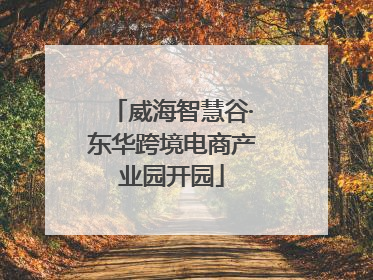 威海智慧谷·东华跨境电商产业园开园