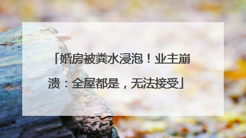 婚房被粪水浸泡！业主崩溃：全屋都是，无法接受