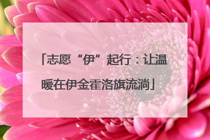 志愿“伊”起行：让温暖在伊金霍洛旗流淌