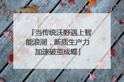 当传统沃野遇上智能浪潮，新质生产力加速破茧成蝶