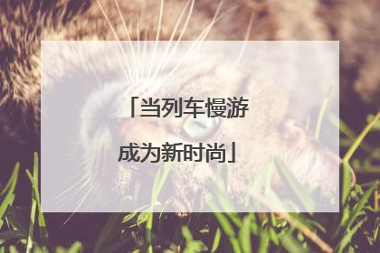 当列车慢游成为新时尚