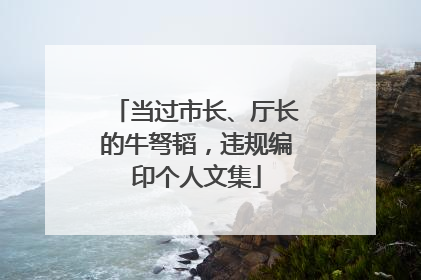 当过市长、厅长的牛弩韬，违规编印个人文集