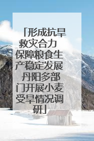 形成抗旱救灾合力 保障粮食生产稳定发展 丹阳多部门开展小麦受旱情况调研