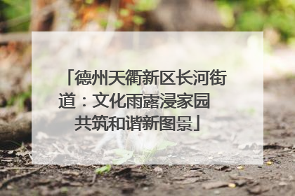 德州天衢新区长河街道：文化雨露浸家园 共筑和谐新图景