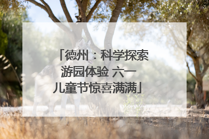 德州：科学探索 游园体验 六一儿童节惊喜满满