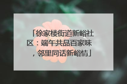 徐家楼街道新峪社区：端午共品百家味，邻里同话新峪情