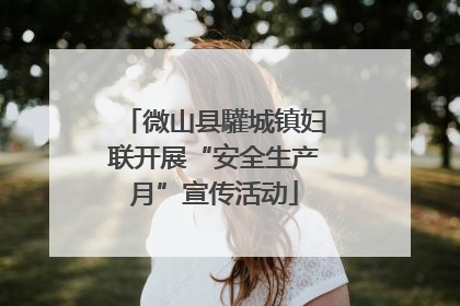 微山县驩城镇妇联开展“安全生产月”宣传活动